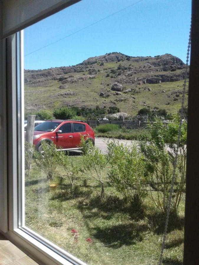 Coirones Aparts - - Patagonia *
